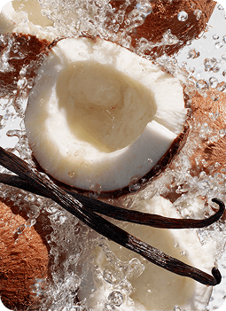 VANILLA & COCONUT